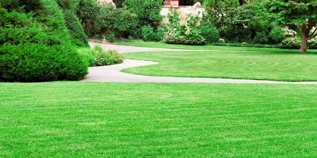 emergency lawncare treatment